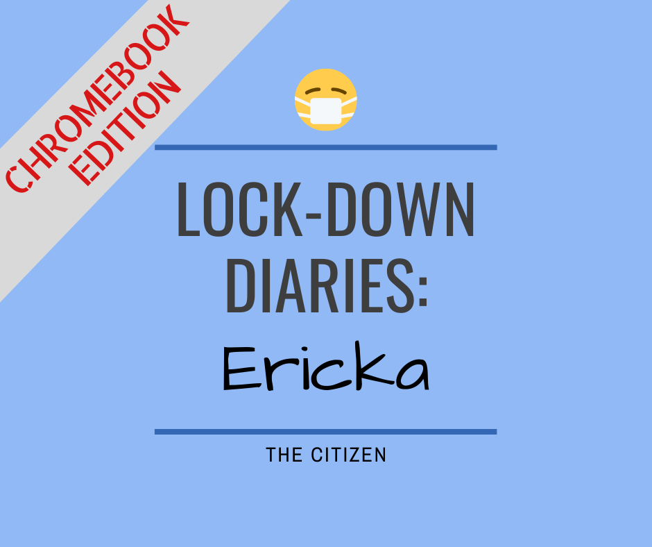 Lock-down Diaries: Ericka
