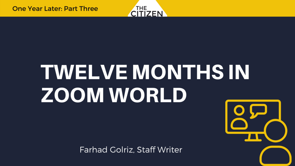 Twelve Months in Zoom World