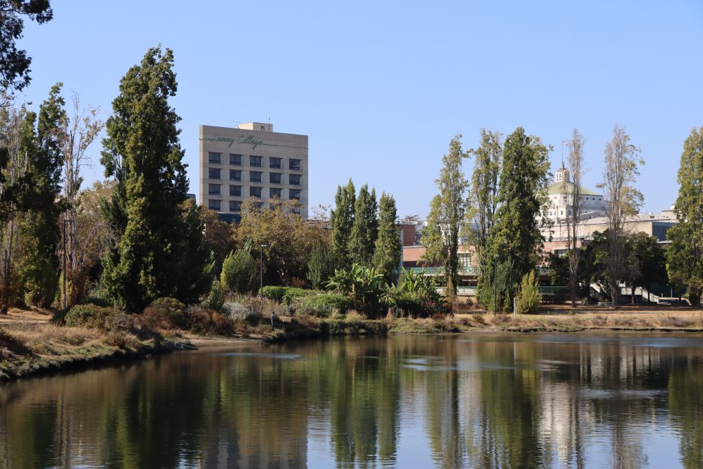A view of Laney College. (Gabe Johnson/The Citizen)