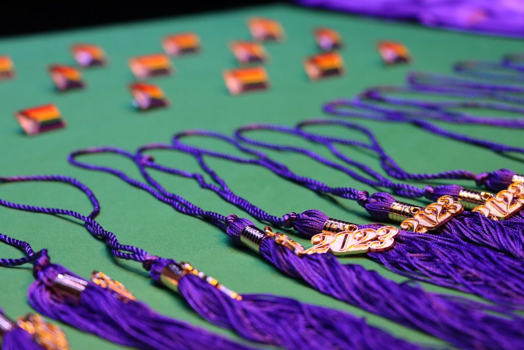 An image of lavender-colored tassels in the foreground and rainbow pins in the background.