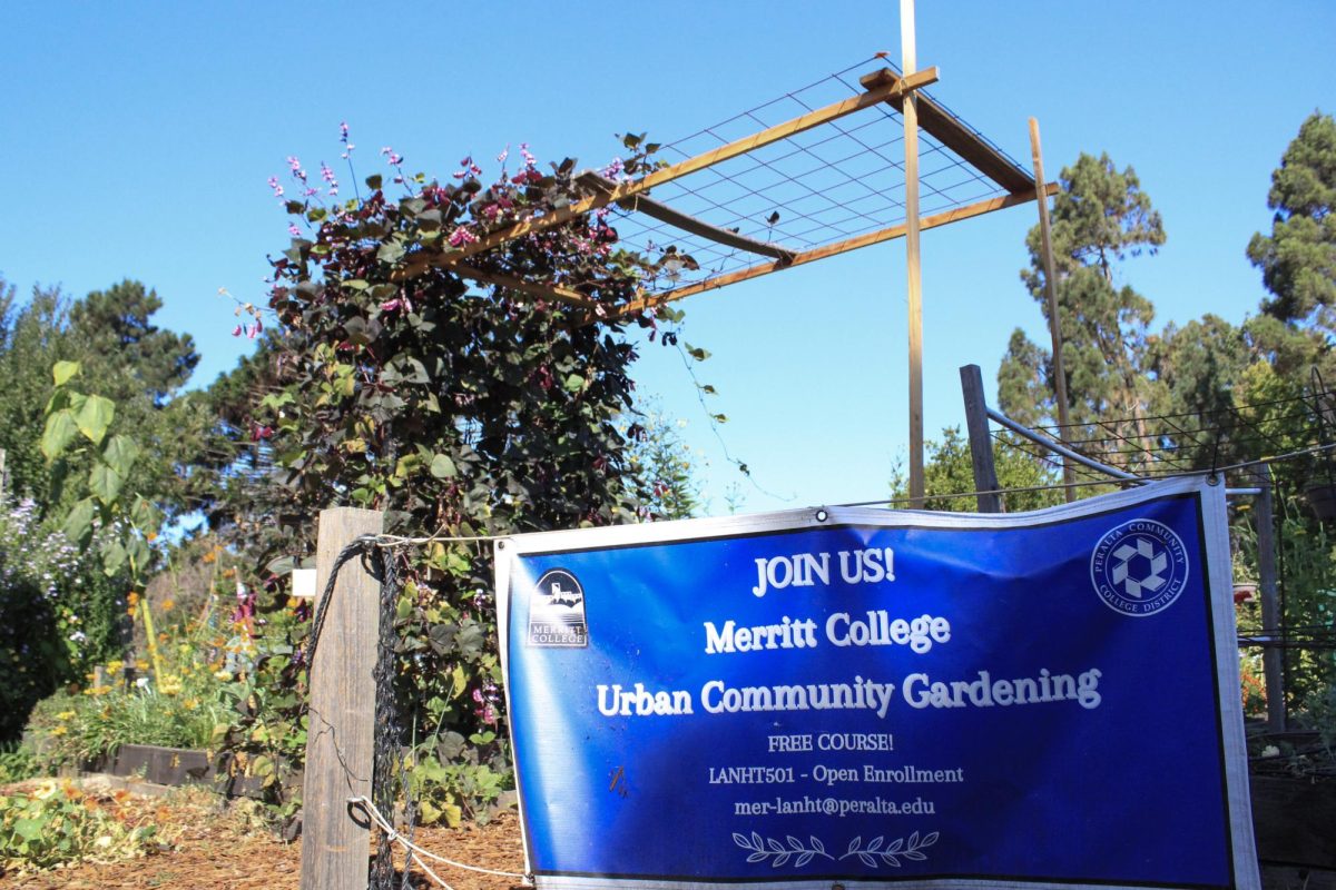 Trellis and sign stand at the entrance to the Urban Community Gardening class plot at the Lakeside Park Garden Center in Oakland, CA., on September 23, 2025. 